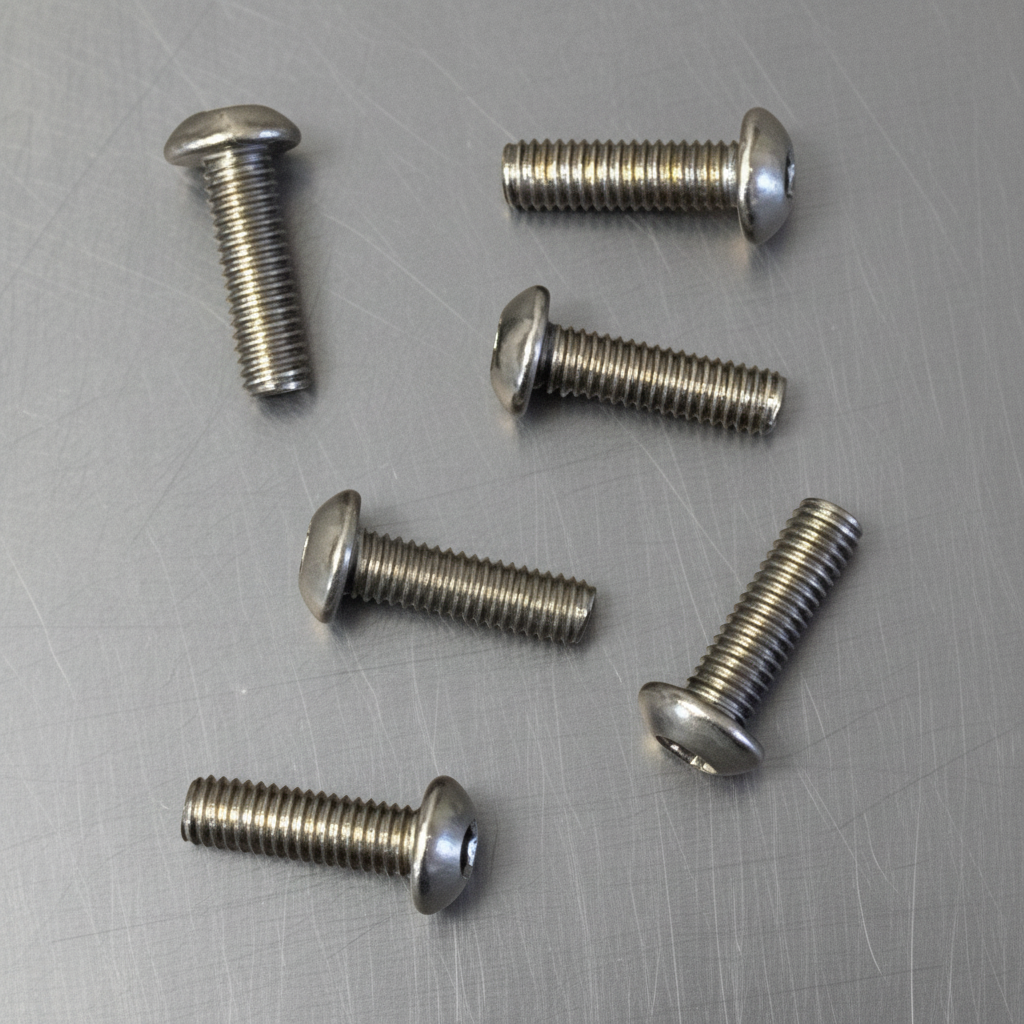 Titanium Roundhead Screws 3x10 (6)