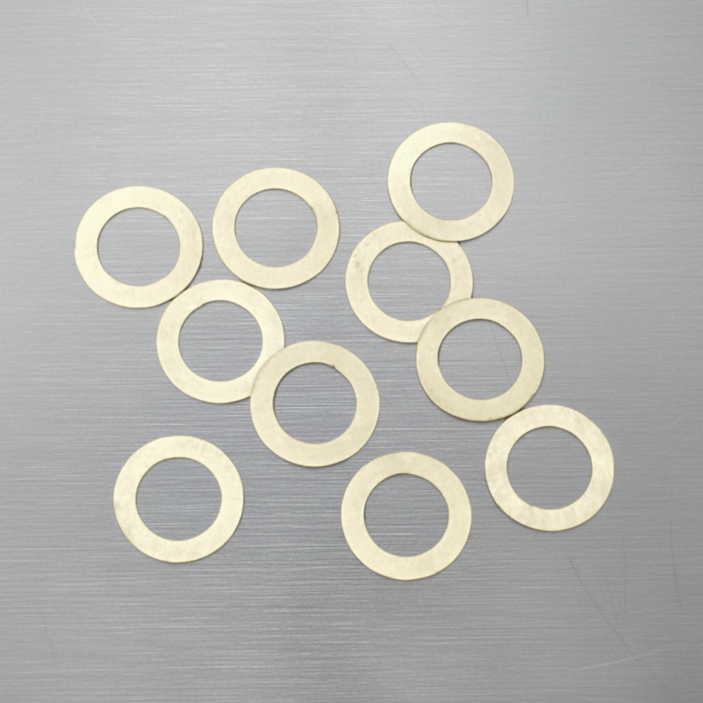 Shims 5x8x0.1 (10)