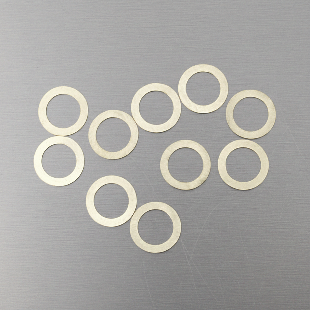 Shims 6x9x0.1 (10)