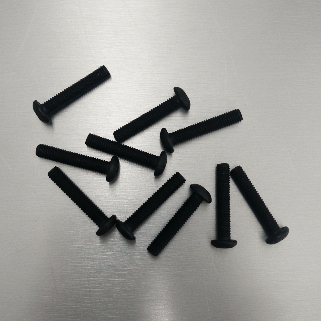 Round Head Screws M3x16 (10)