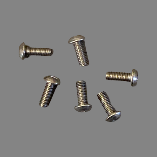 Titanium Roundhead Screws 3x8 (6)