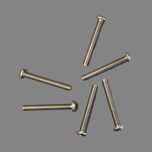 Titanium Roundhead Screws 3x24 (6)