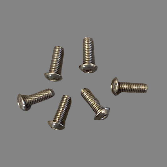 Titanium Roundhead Screws 4x12 (6)