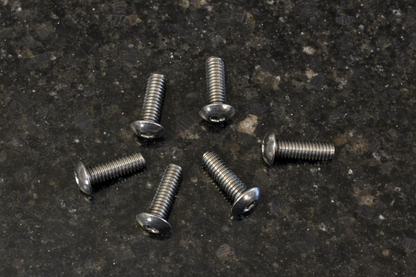 Titanium Roundhead Screws 4x12 (6)