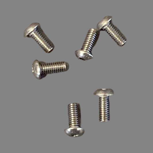 Titanium Roundhead Screws 2.5x6 (6)