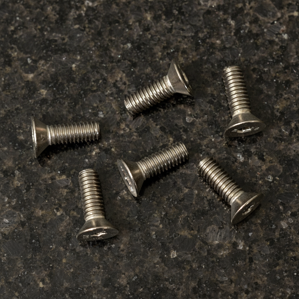 Titanium Countersunk 4x14 (6)