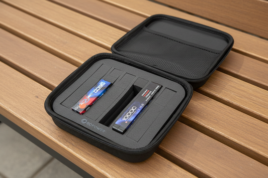 Battery Storage Bag 22x17x7