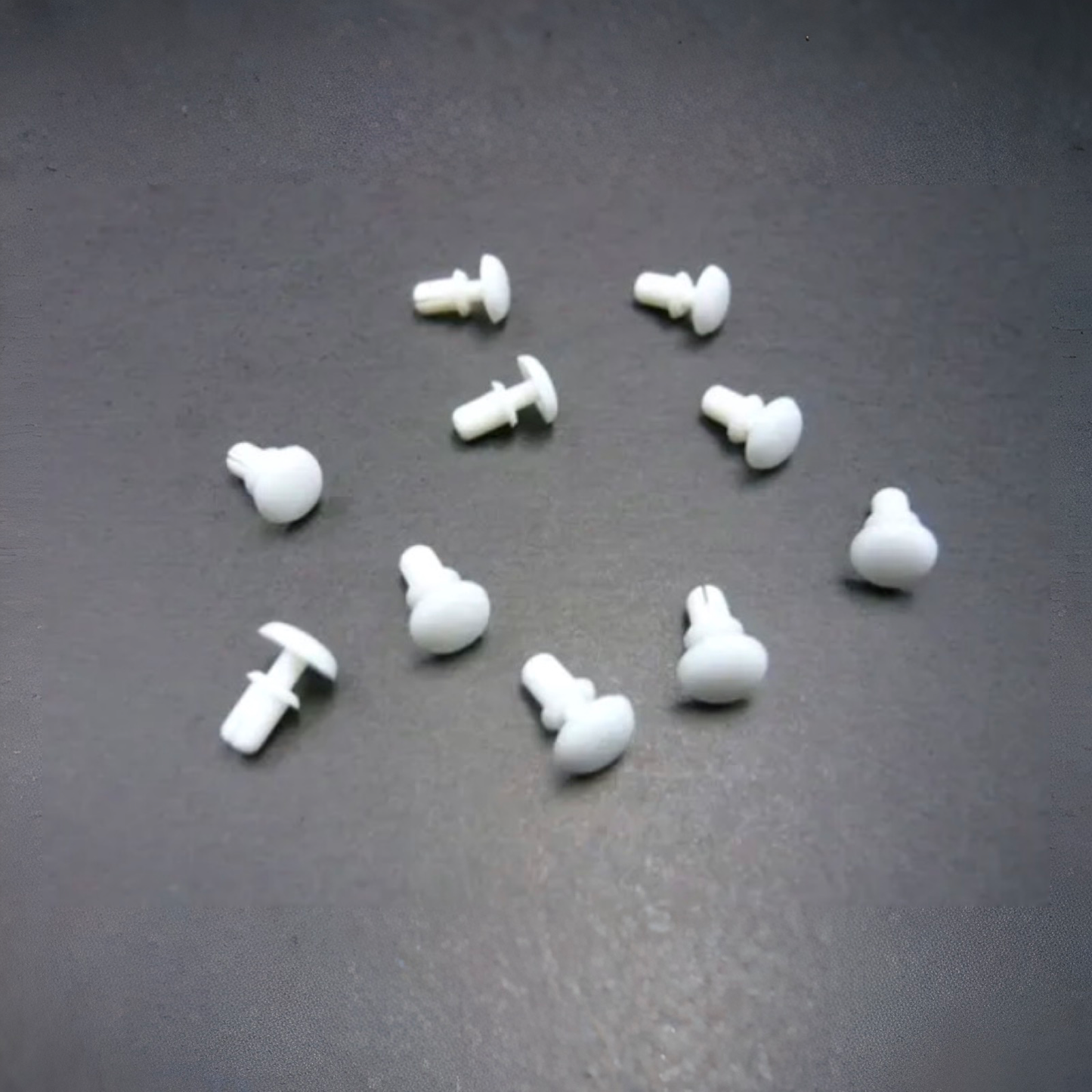 Xceed Body Rivets Nylon White (10)