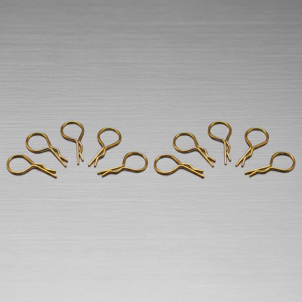Body Clips 1/10 – Multiple Colours (10)