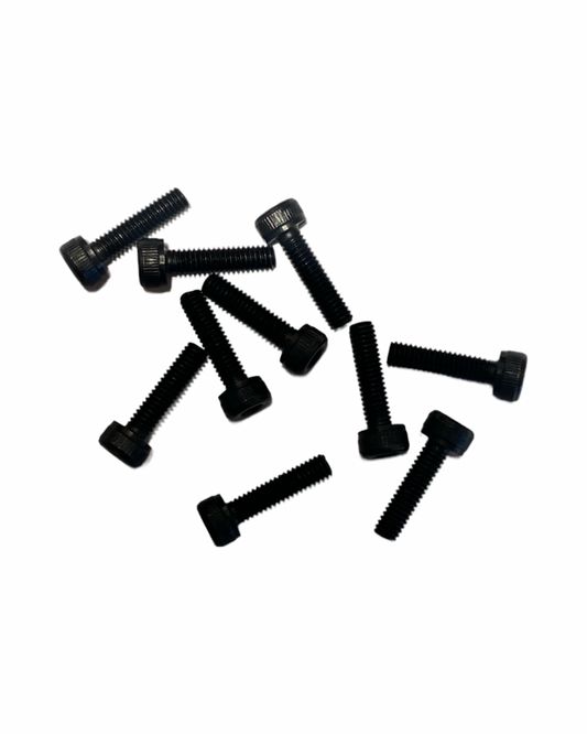 Cap head Screws M2.5x10  (10)